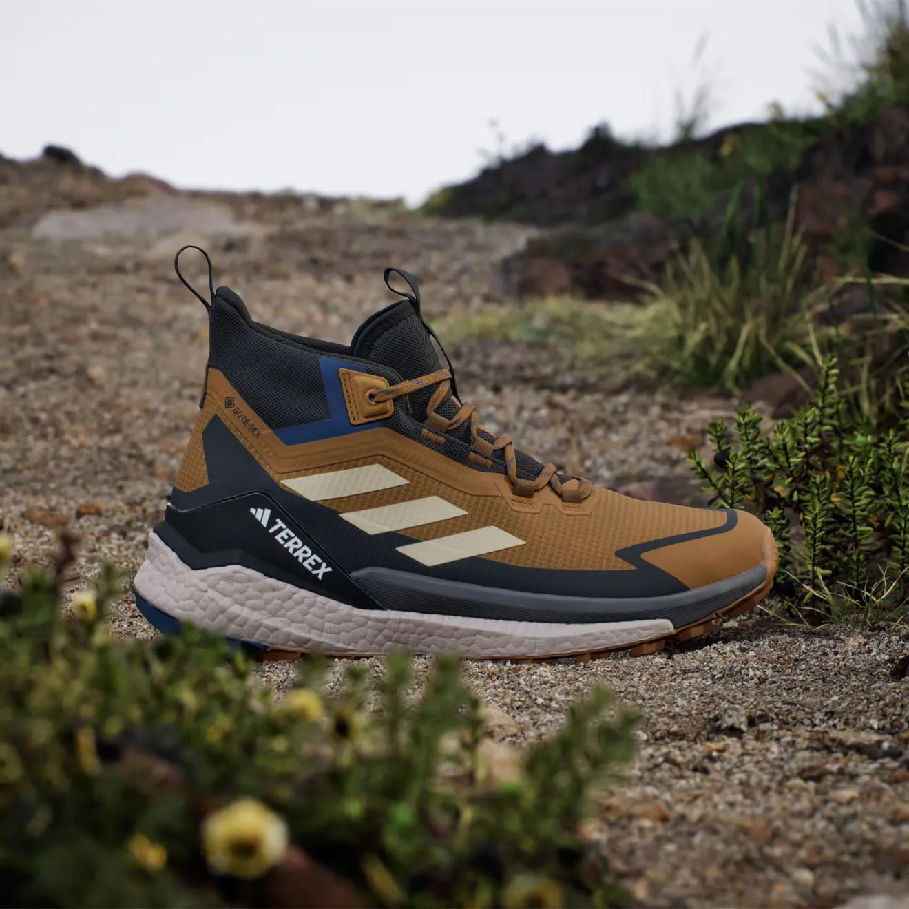 Adidas Terrex Free Hiker Shoes 2 Brown / Black / Blue