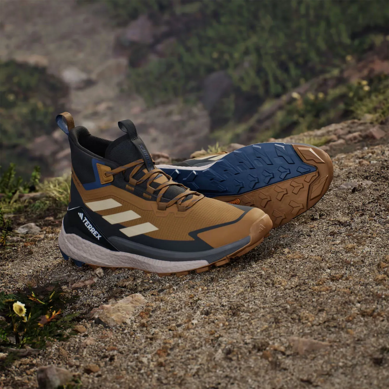 Adidas Terrex Free Hiker Shoes 2 Brown / Black / Blue
