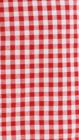 Elise Ribbon Top and Shorts Set - Red Gingham