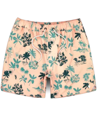 Jetty Mens Bayside Poolshort