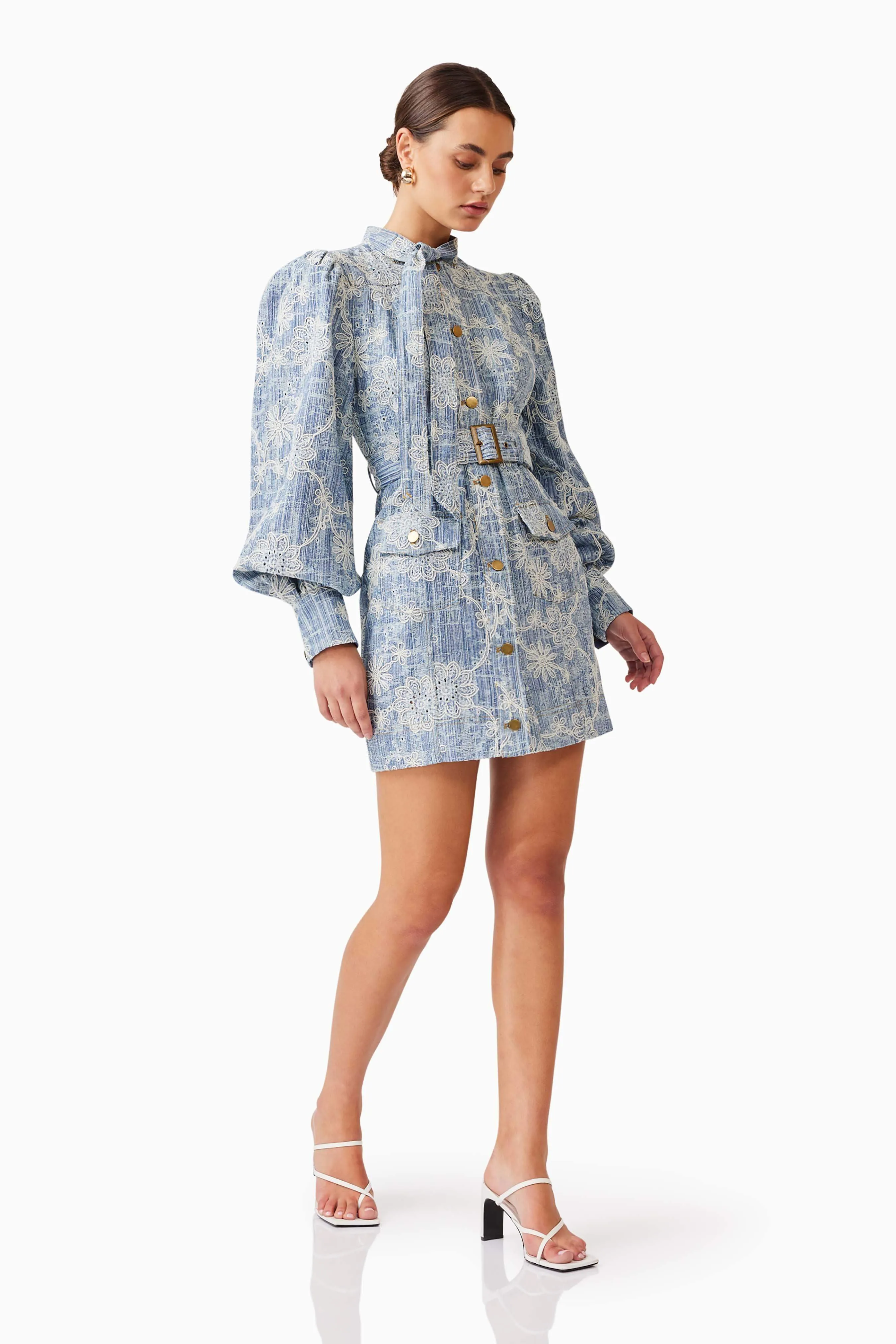 Monica Denim Long Sleeve Mini Dress