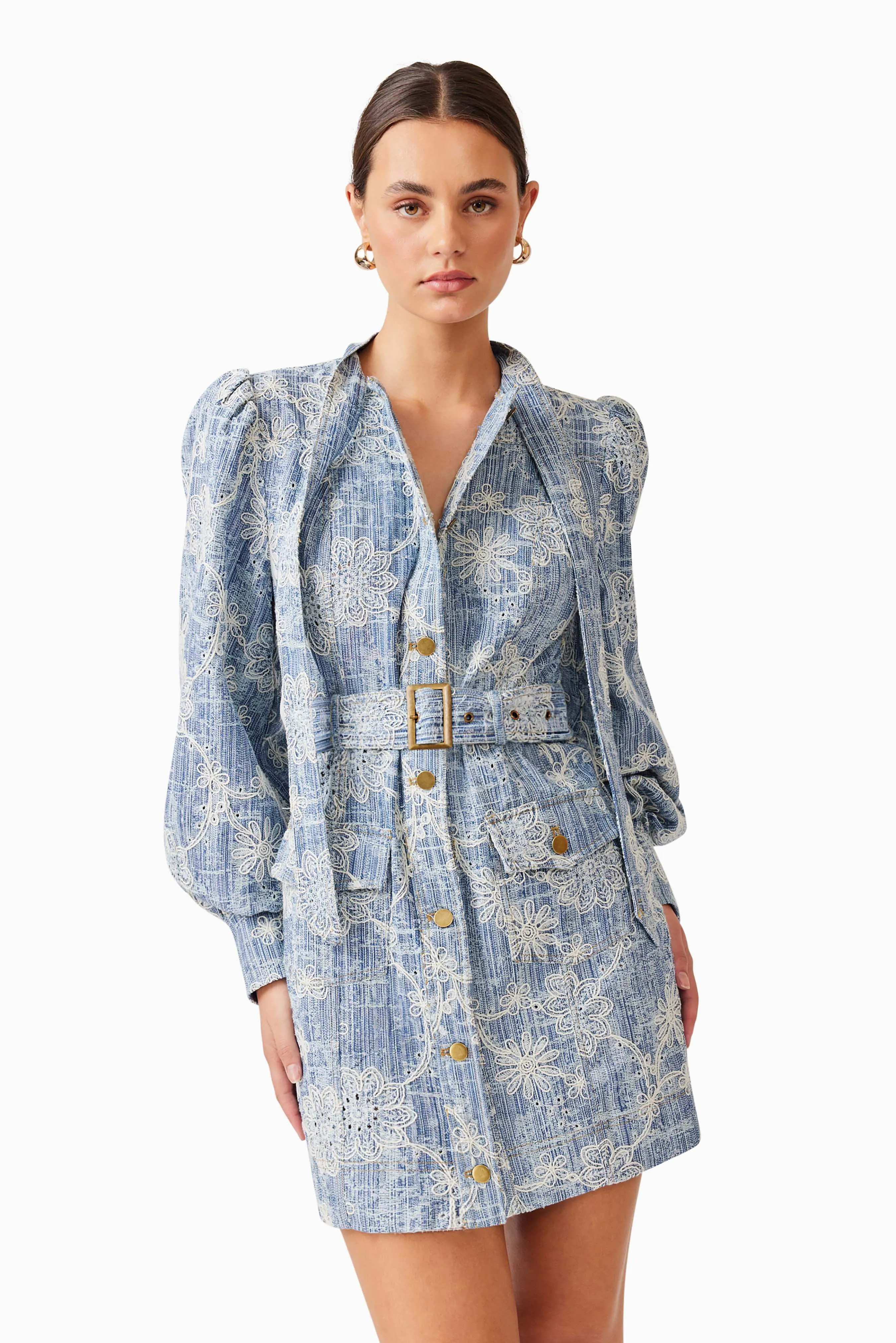 Monica Denim Long Sleeve Mini Dress