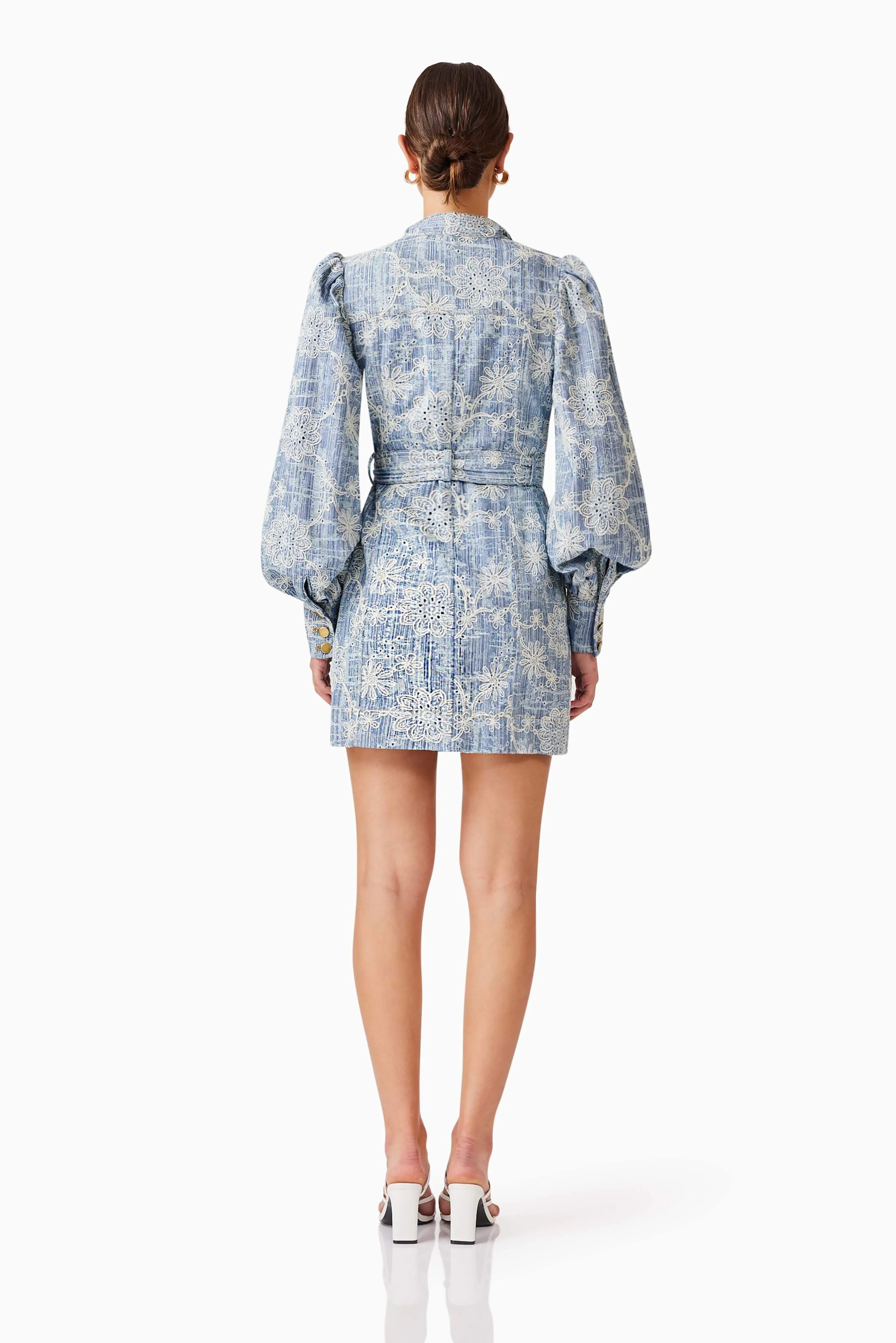 Monica Denim Long Sleeve Mini Dress