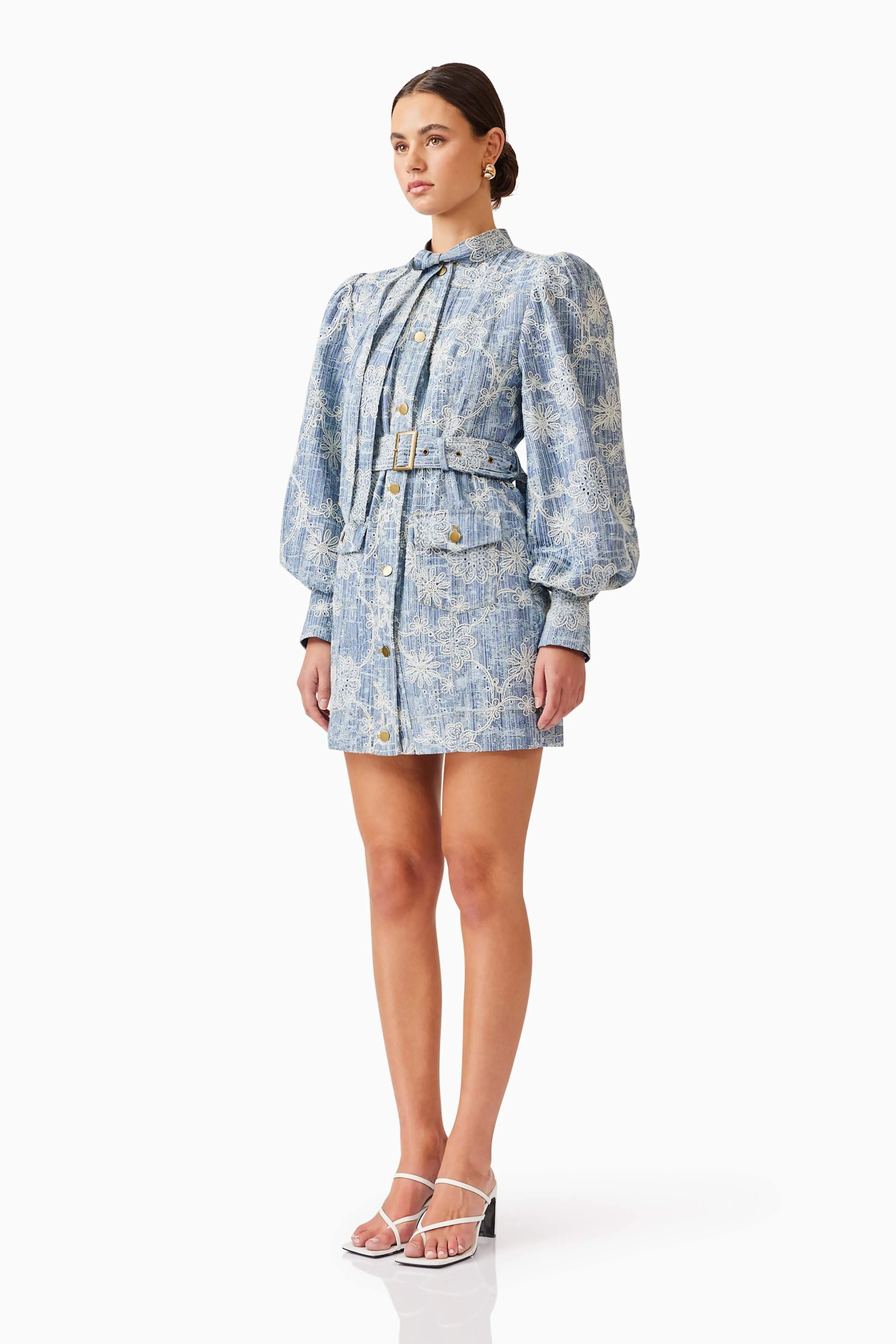 Monica Denim Long Sleeve Mini Dress