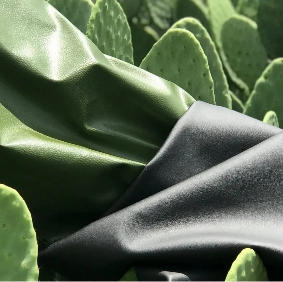Mykonos Cactus Leather Vegan Watch | Multiple Colours