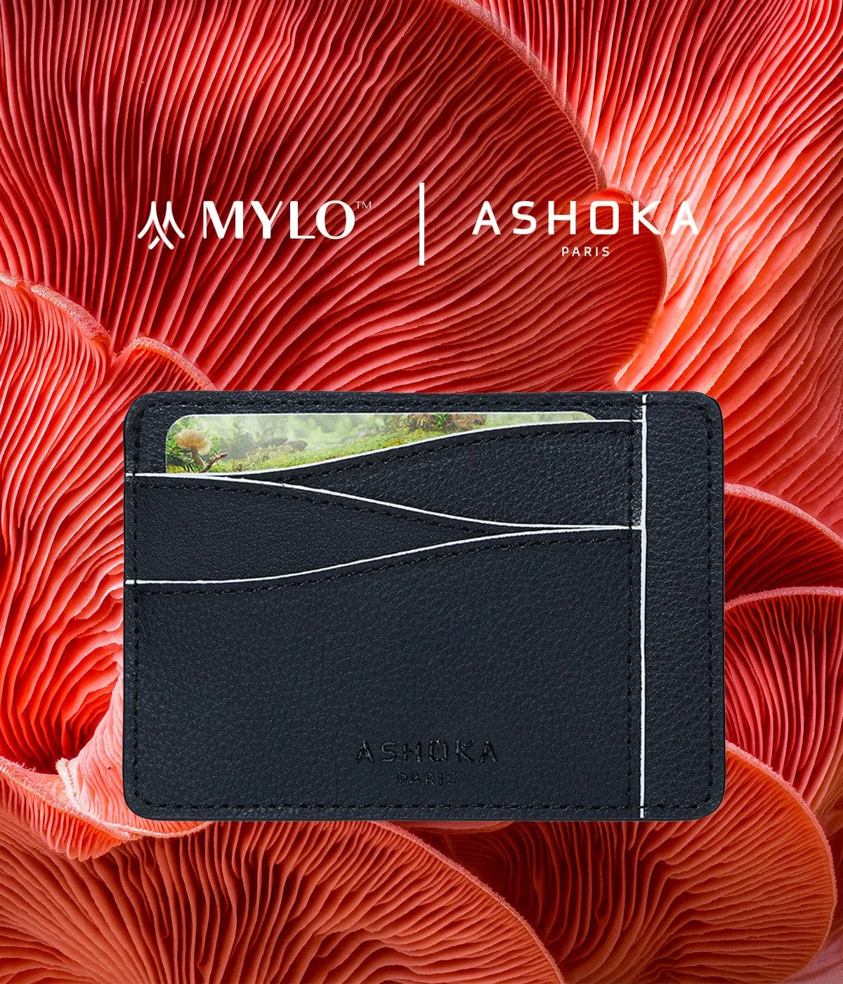 Mylo™️ Vegan Mushroom Leather Large Card Holder | White