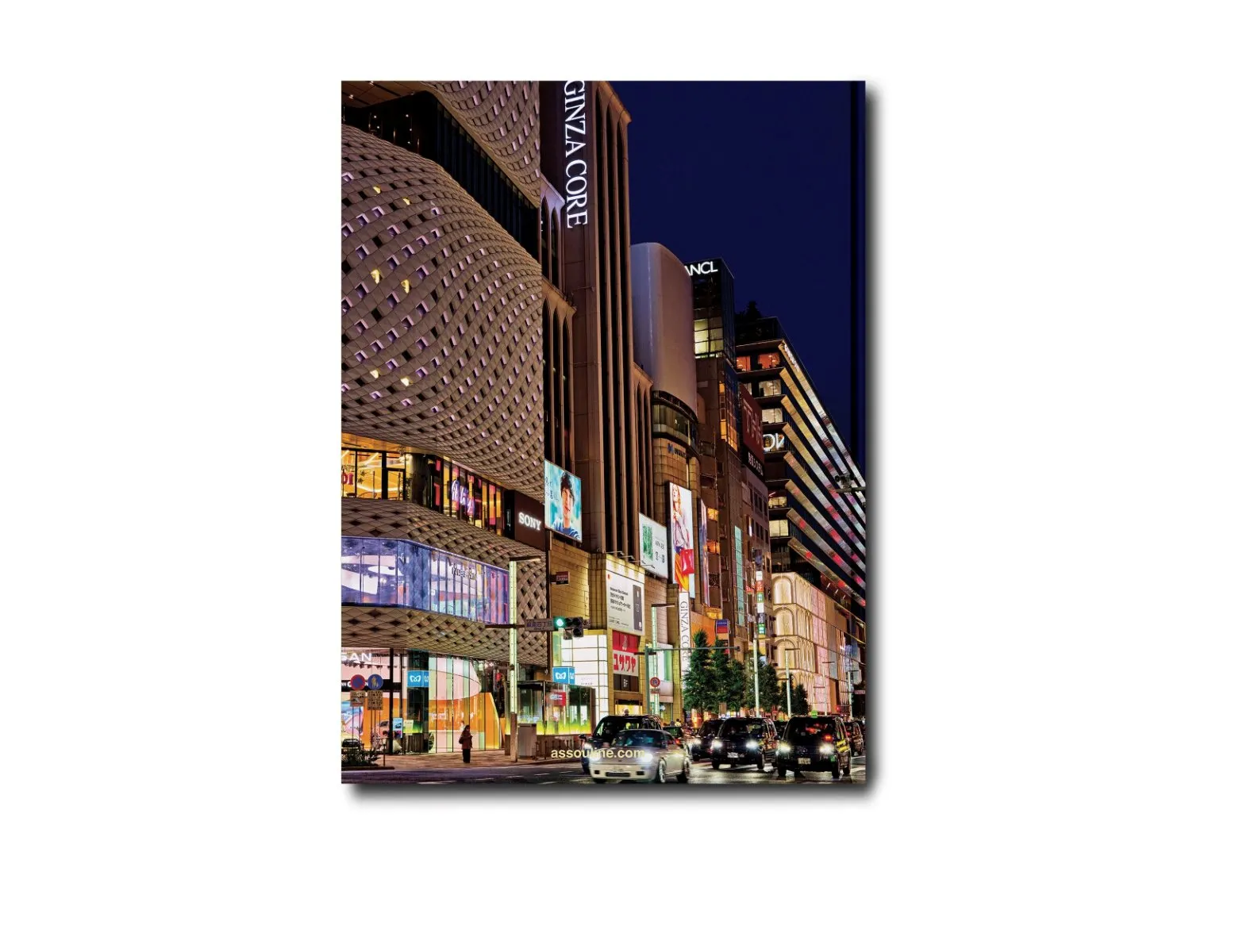 Tokyo Chic