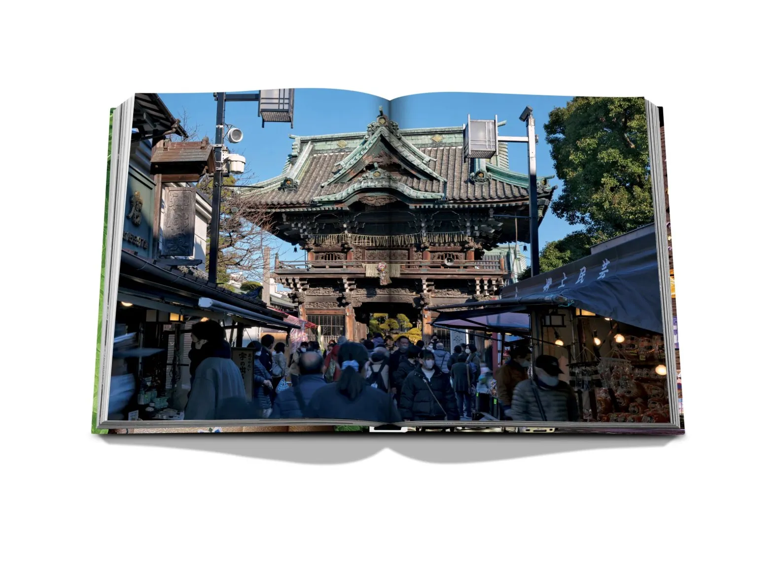 Tokyo Chic